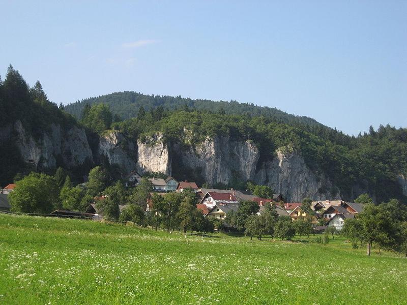 Apartma Pr' Stengarju Apartment Bohinjska Bela Luaran gambar